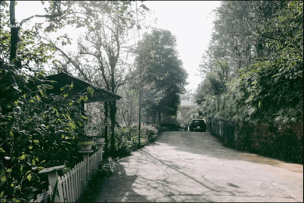 khu-dao-buoc