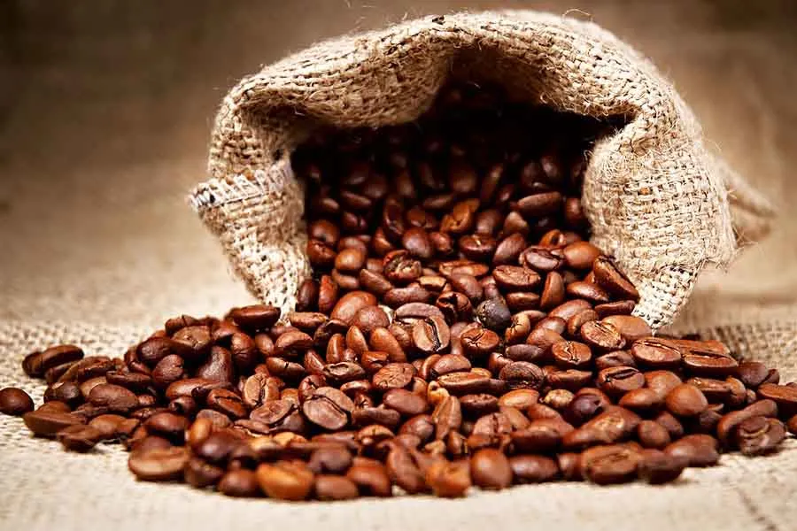 ca-phe-arabica-cau-dat