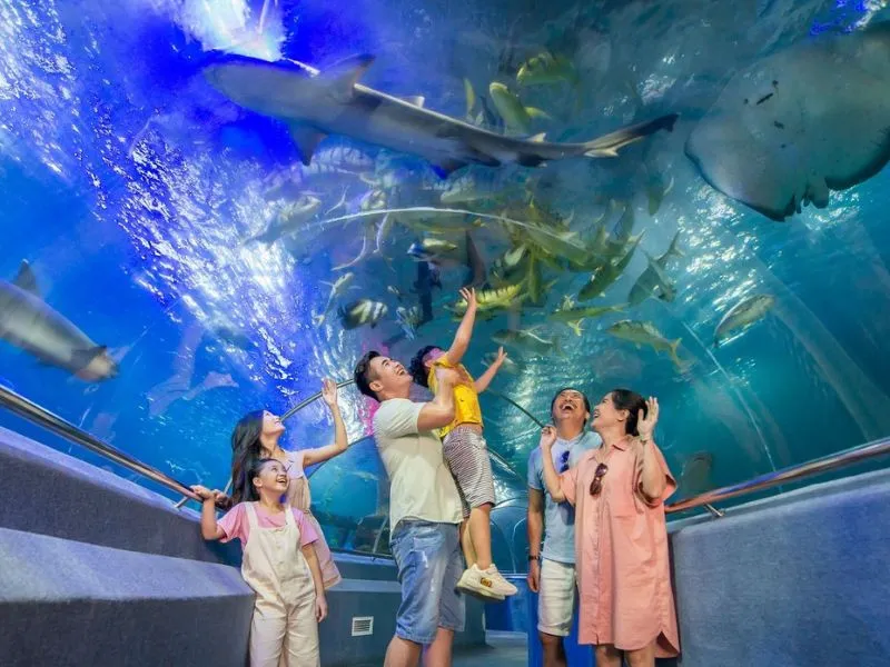 Ưu đãi đặt sớm (Early Bird) và chính sách hoàn hủy Tour Nha Trang 4N3Đ khi thời tiết xấu