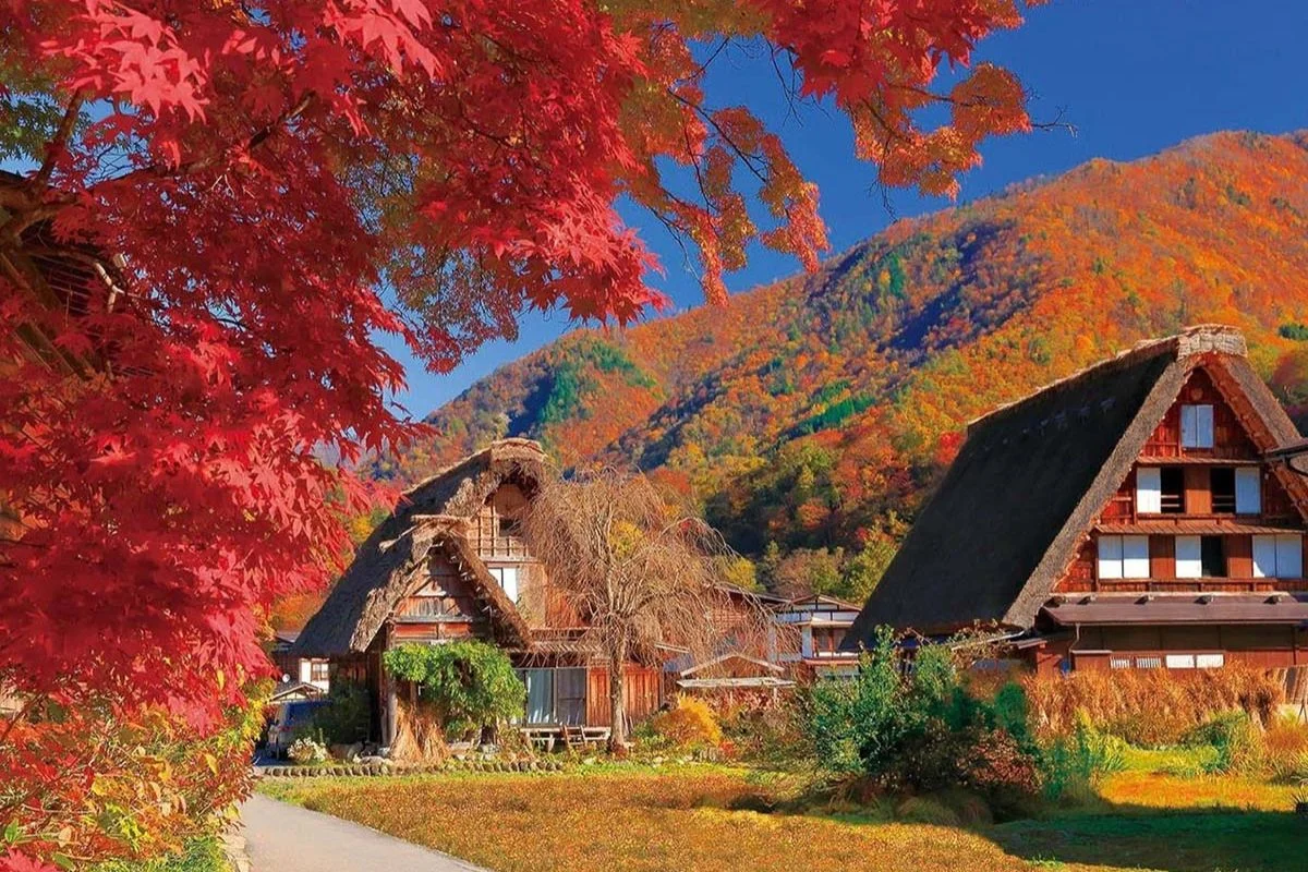 sac-thu-noi-lang-co-shirakawago