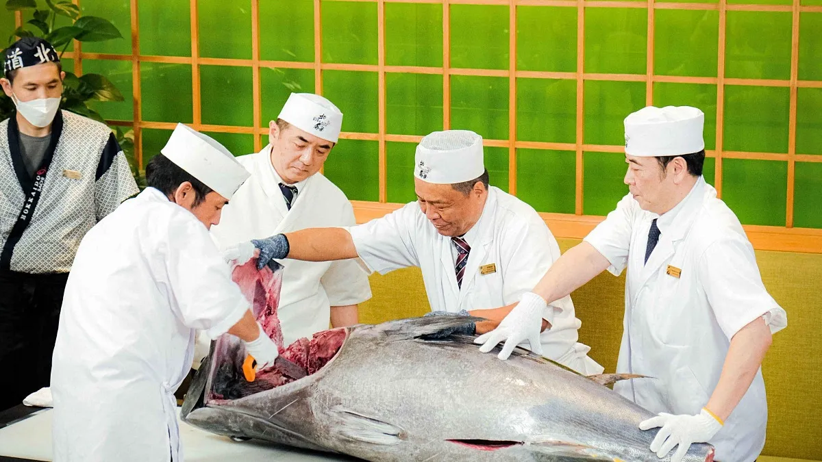 boc-tach-3-dac-diem-doc-ban-lam-nen-suc-hut-manh-liet-cua-show-cat-ca-ngu