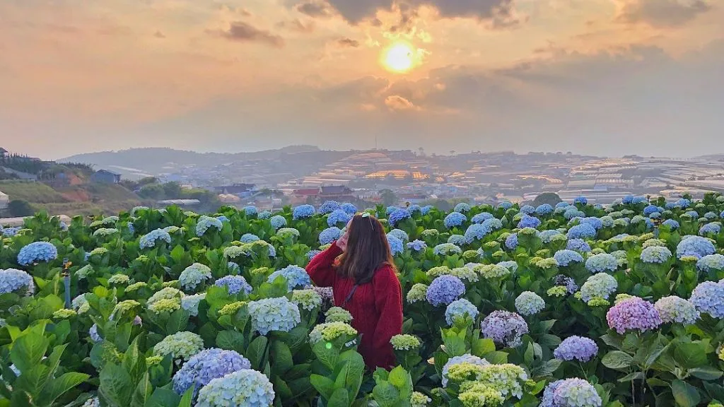Lịch trình đi Đà Lạt 4 ngày 3 đêm thiết kế riêng cho gia đình có trẻ nhỏ và người lớn tuổi