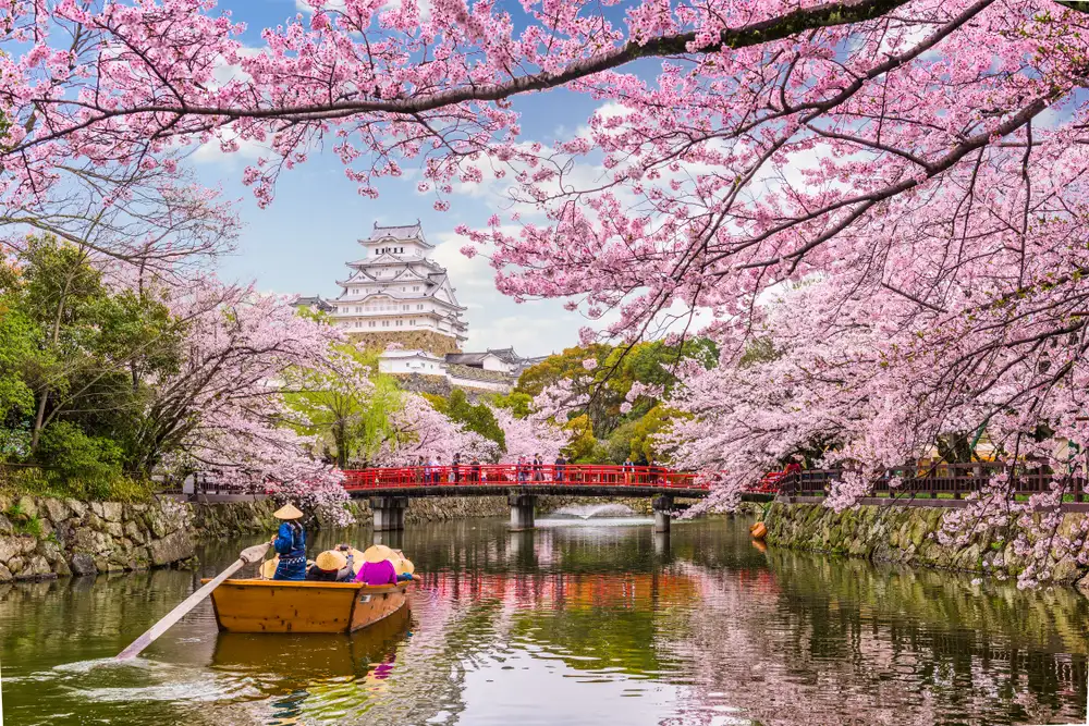 tour-ngam-hoa-anh-dao-nhat-ban-dai-phat-kamakura