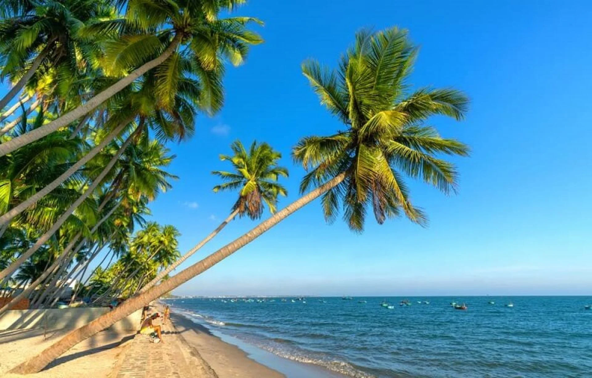 tour-phan-thiet