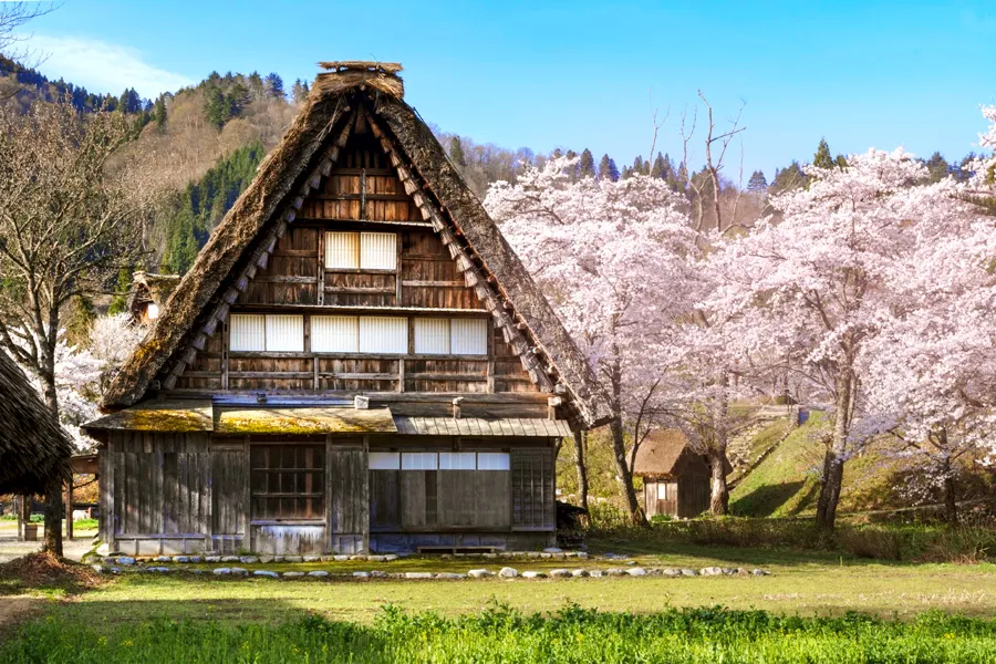 tour-shirakawago-mua-xuan