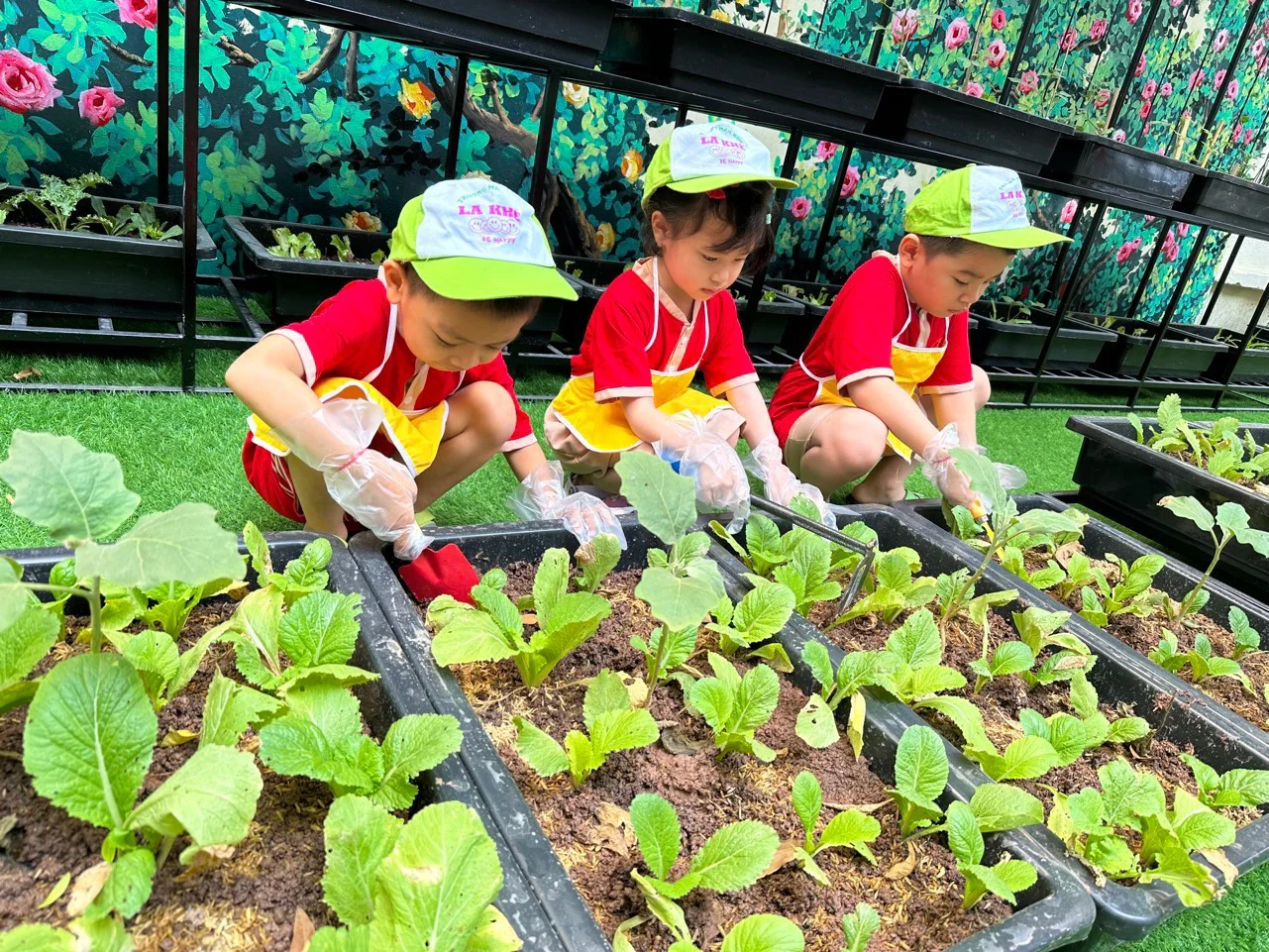 trai-nghiem-trong-rau