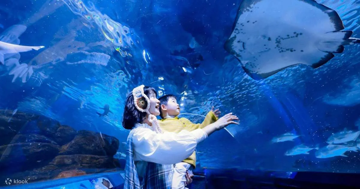 VéThủycungThượngHải(ShanghaiOceanAquarium)-Klook