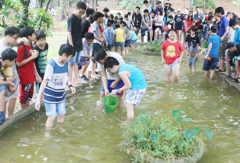 khu-sinh-thai-ban-rom-soc-son-ren-luyen-ky-nang-sinh-ton-cho-be-ra-sao