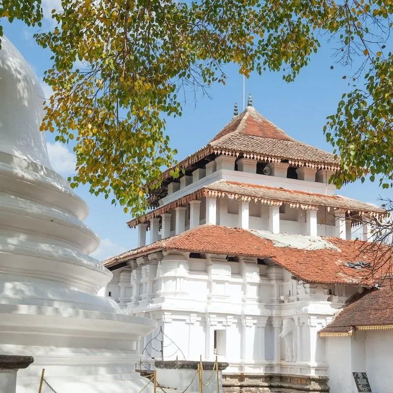 co-do-kandy-sri-lanka-2