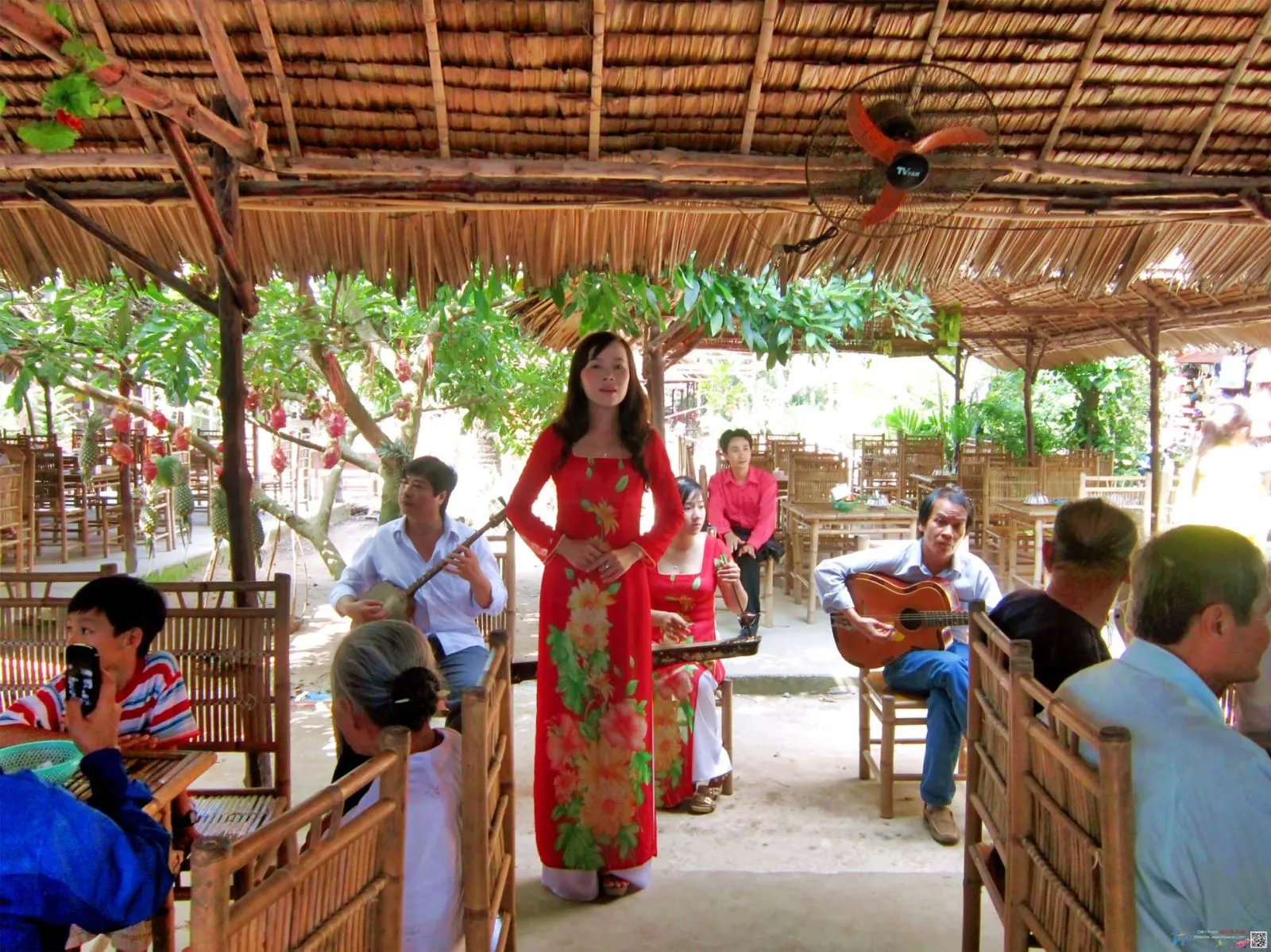 nghe-thuat-don-ca-tai-tu-nam-bo-co-nguon-goc-va-gia-tri-van-hoa-nhu-the-nao