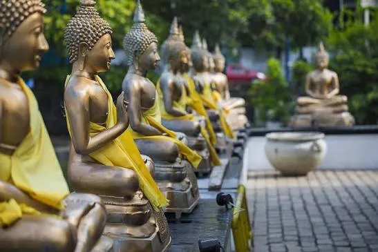 lua-chon-hanh-trinh-tour-sri-lanka-6n5d-hay-7n6d-phu-hop-cho-doan-hanh-huong