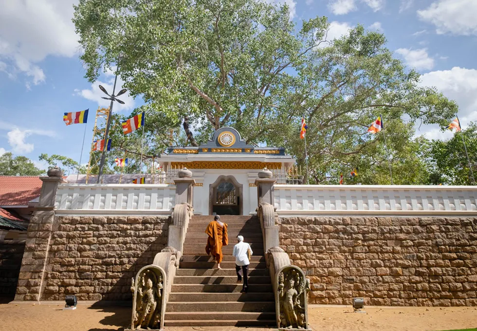 du-lich-sri-lanka-di-dau-lam-gi-2