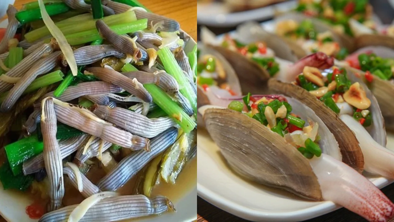 hai-san-quang-ninh