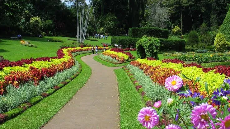 bang-bao-gia-chi-tiet-va-chinh-sach-dich-vu-tour-sri-lanka-tu-ha-noi