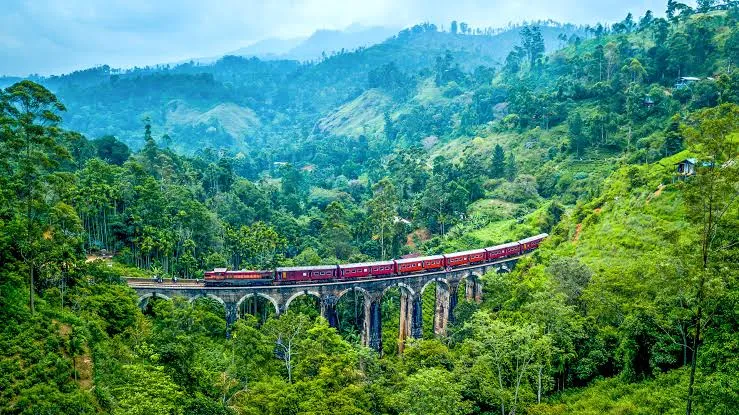 lich-trinh-trai-nghiem-nuwara-eliya-trong-tour-sri-lanka-6n5d-cua-phe-travel-duoc-van-hanh-ra-sao