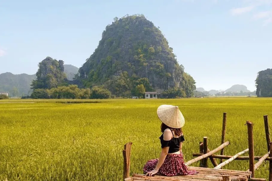 suc-hut-cua-mo-hinh-resort-giua-dong-lua-tai-ninh-binh-la-gi