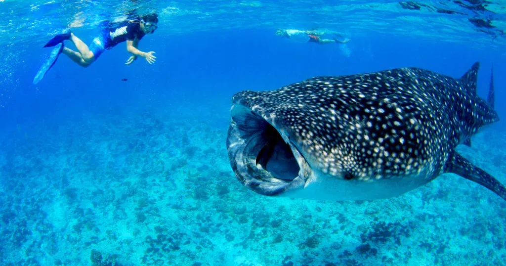 tour-sri-lanka-maldives (2)