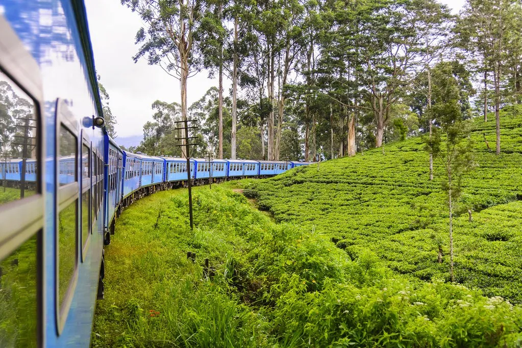 trai-nghiem-tuyen-tau-hoa-kandy-ella-dep-nhat-the-gioi-1