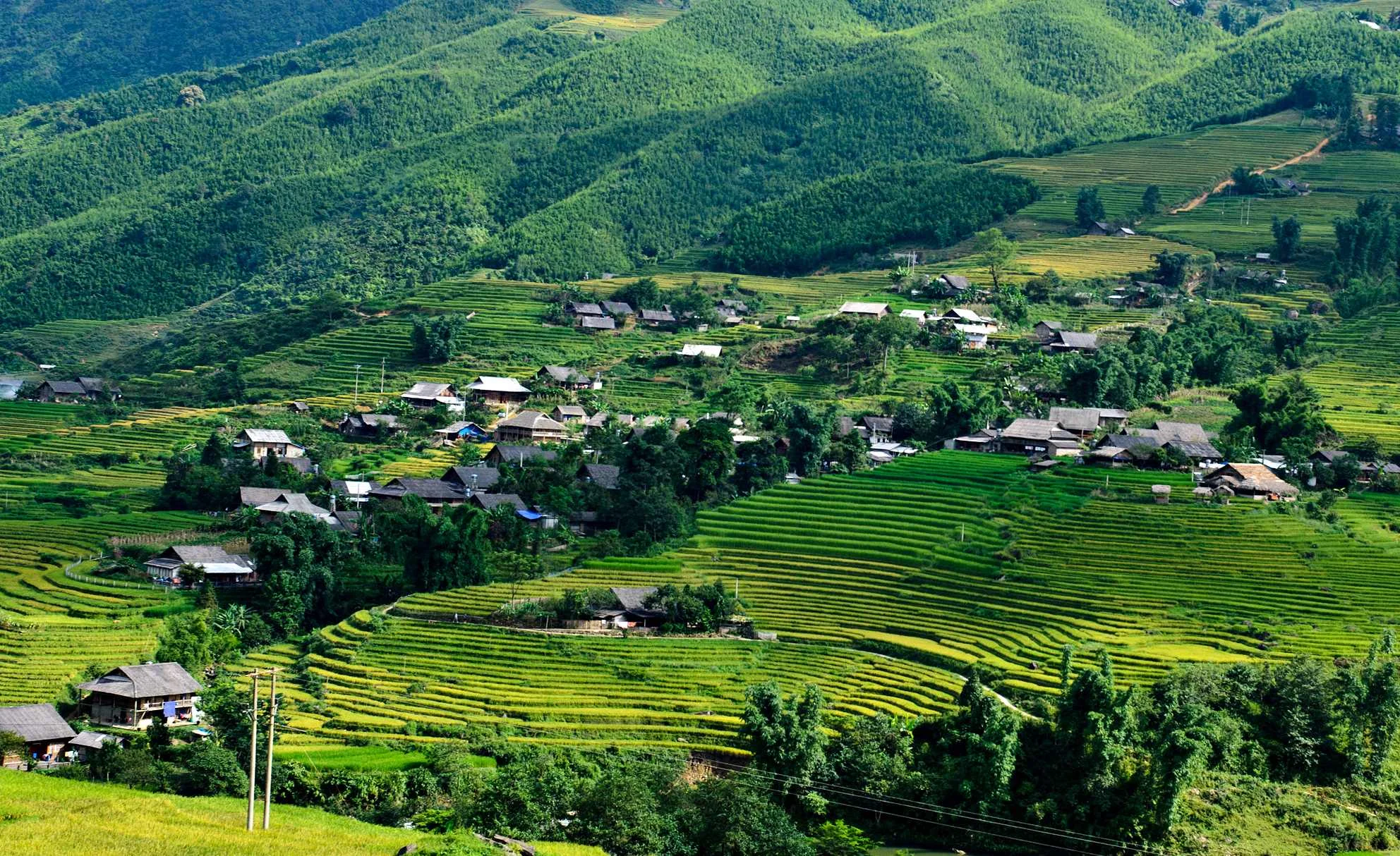 lao-chai-ta-van