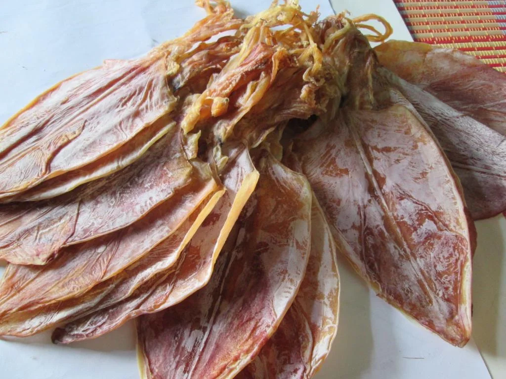 Mực-khô