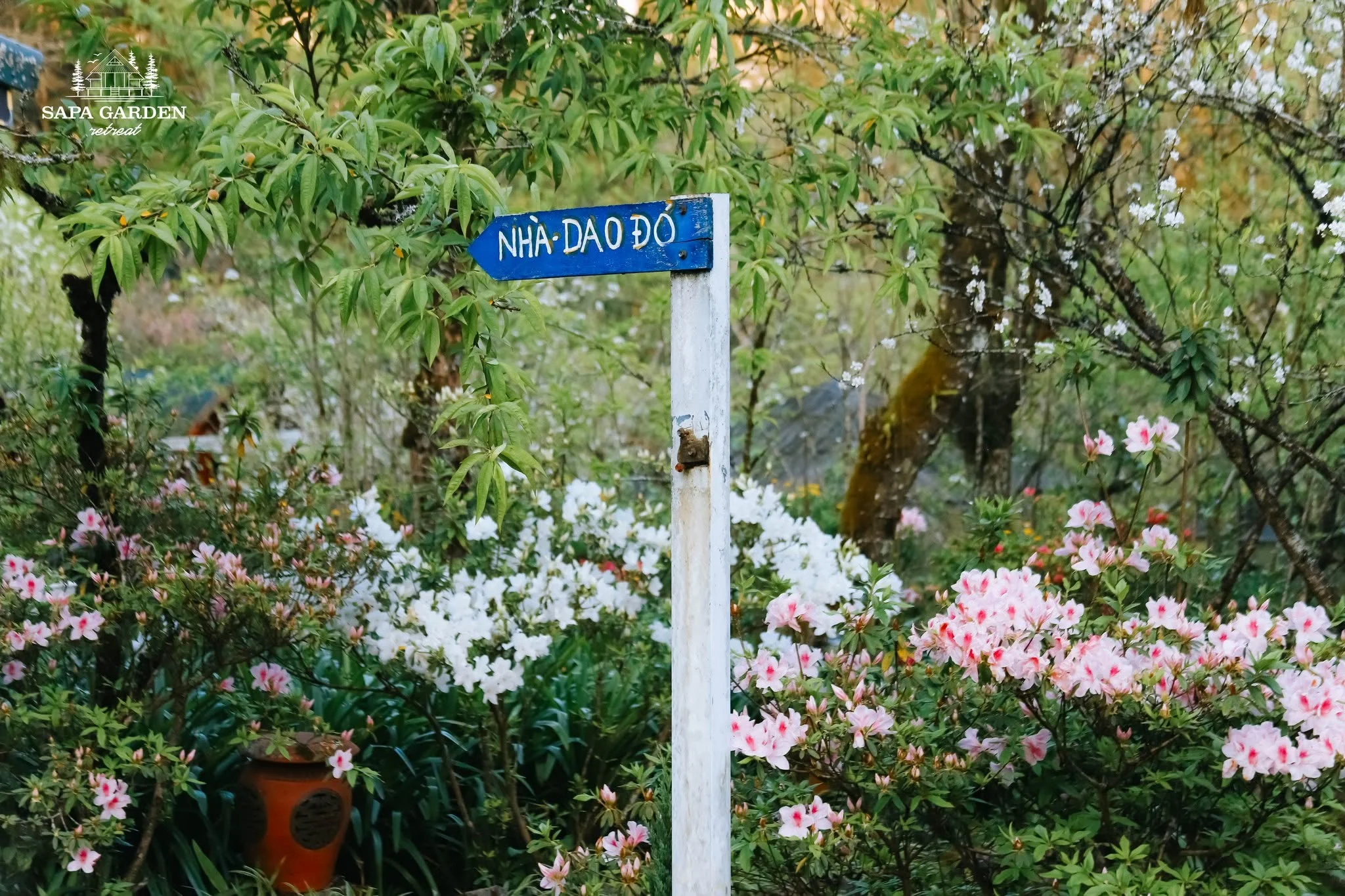 ngap-hoa
