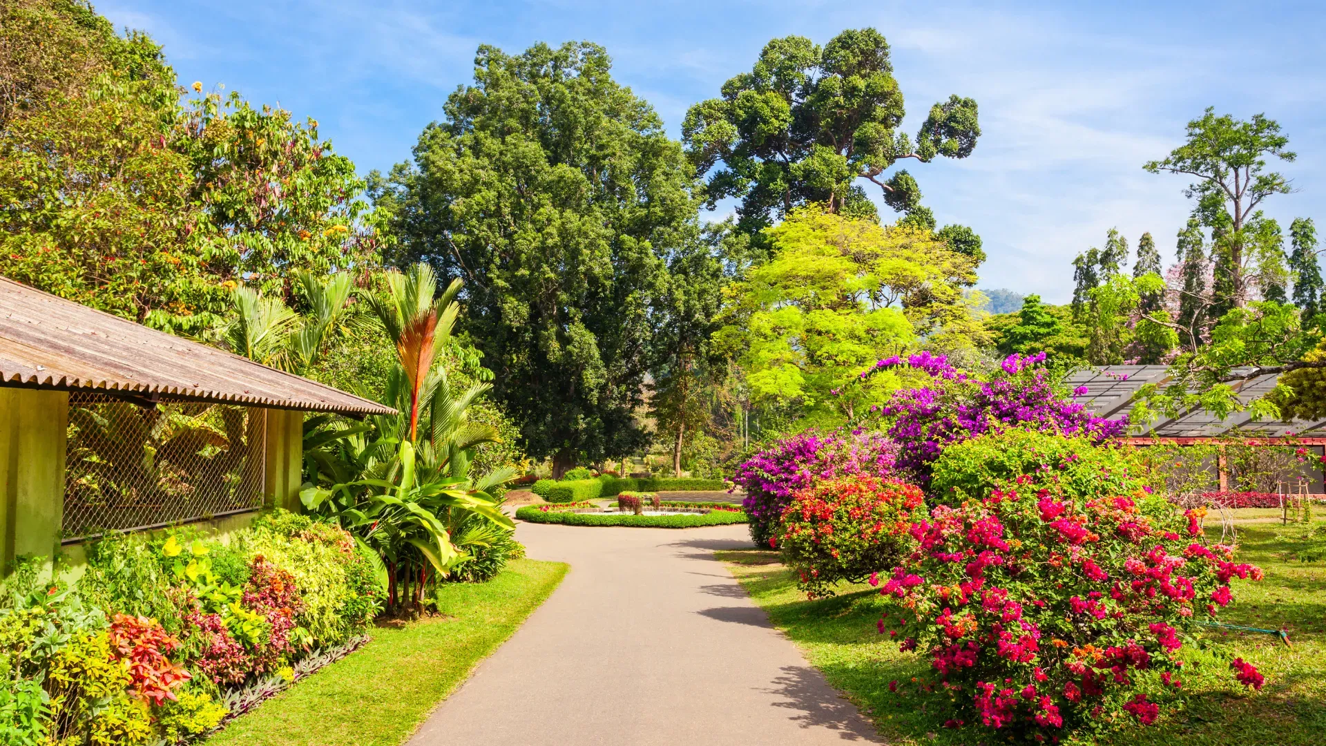 tai-sao-nen-lua-chon-dich-vu-lu-hanh-cua-phe-travel-cho-vien-trinh-sri-lanka