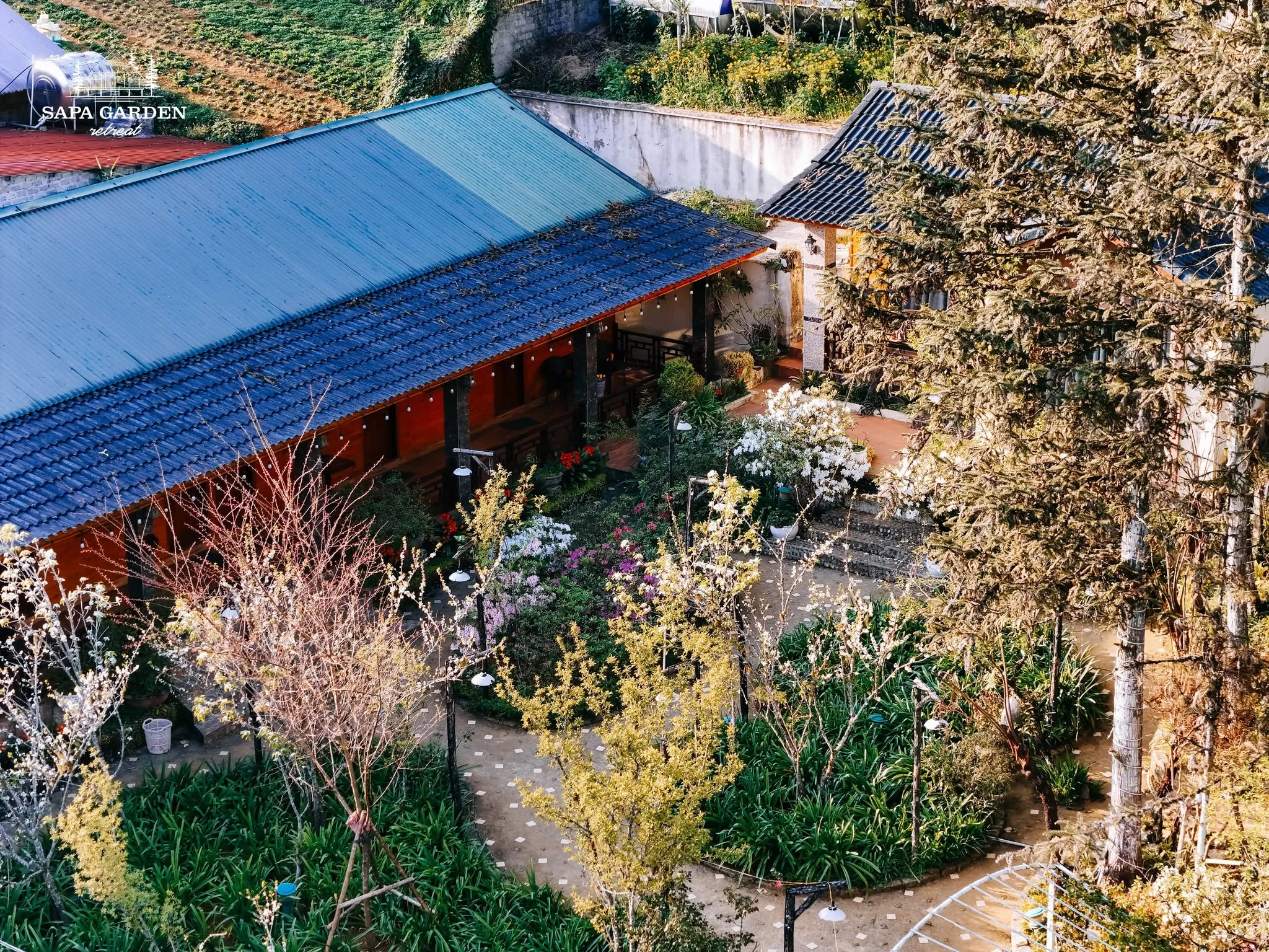 san-vuon-hoa