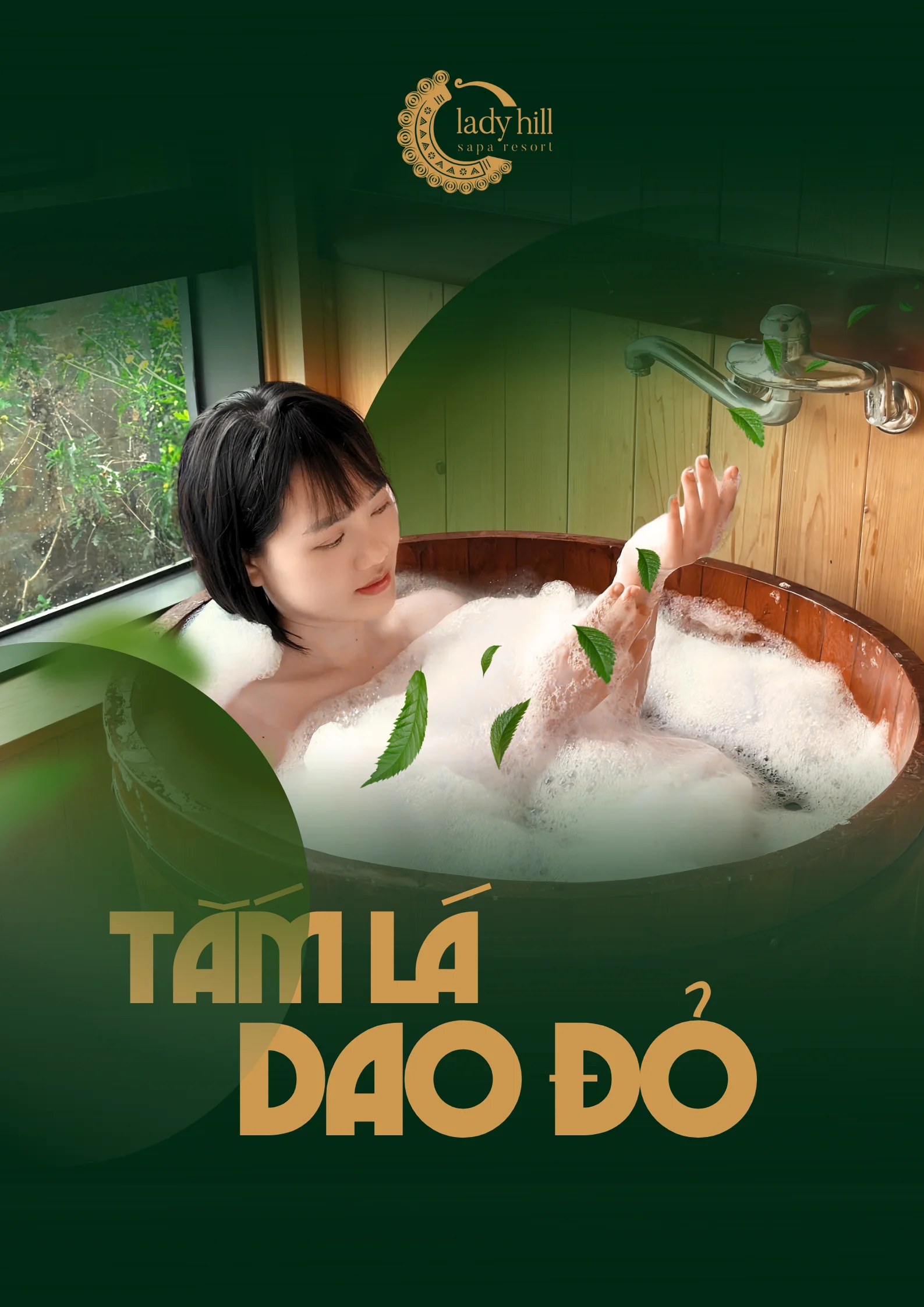 TLTDD