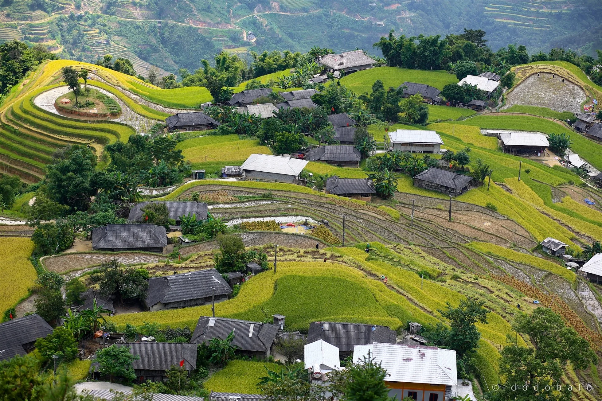 ban-phung-1