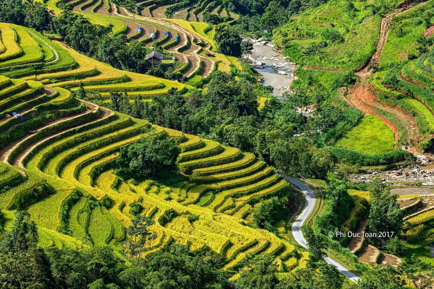den-ban-luoc-san-sa-ho-de-ngam-thua-ruong-bac-thang