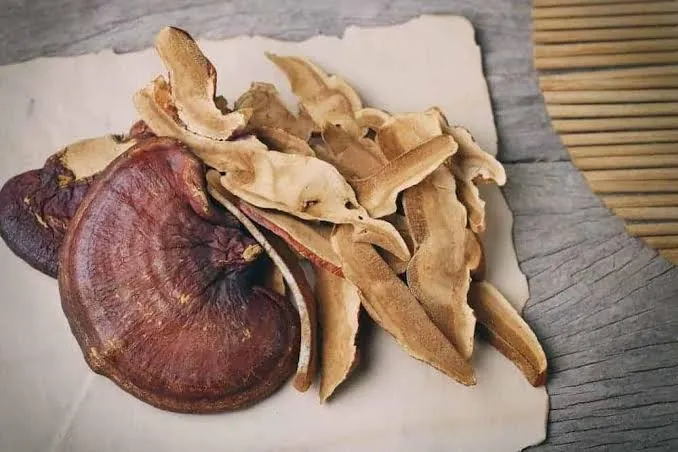 nam-linh-chi-tuyet-va-nam-rung-kho-tu-nhien