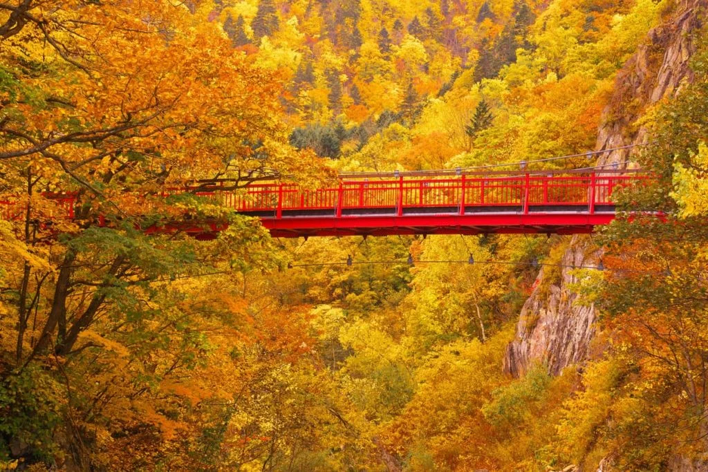 di-hokkaido-mua-nao-dep
