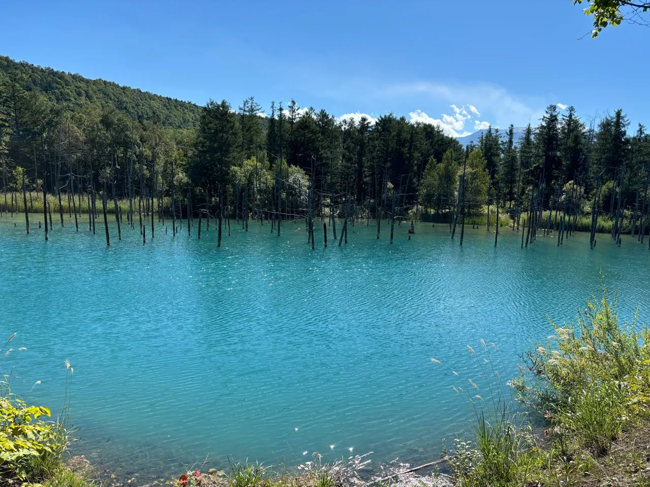 kinh-nghiem-tham-quan-ho-shirogane-blue-pond-ho-biei-3