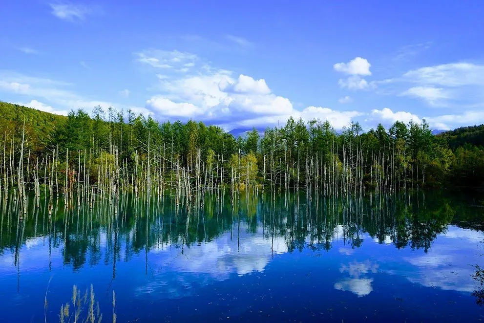 kinh-nghiem-tham-quan-ho-shirogane-blue-pond-ho-biei-4