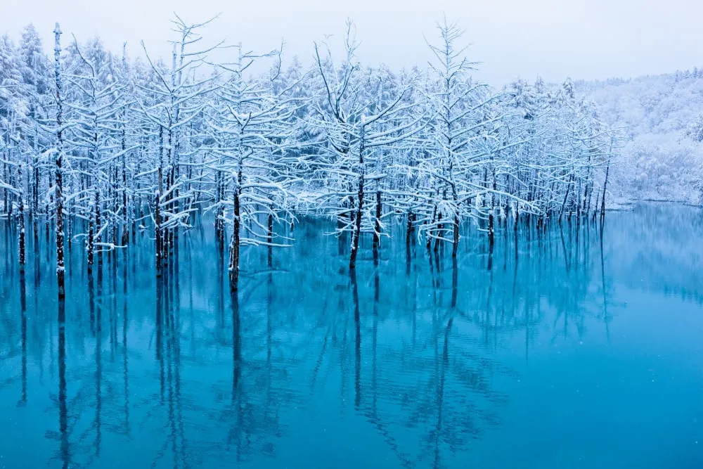 kinh-nghiem-tham-quan-ho-shirogane-blue-pond-ho-biei-6