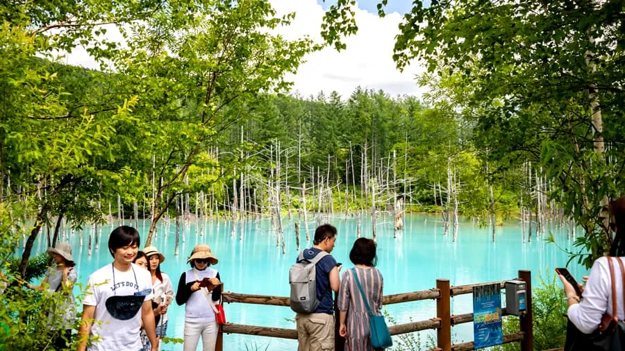 cam-nang-huong-dan-di-chuyen-den-ho-shirogane-blue-pond-thuan-tien-nhat-la-gi