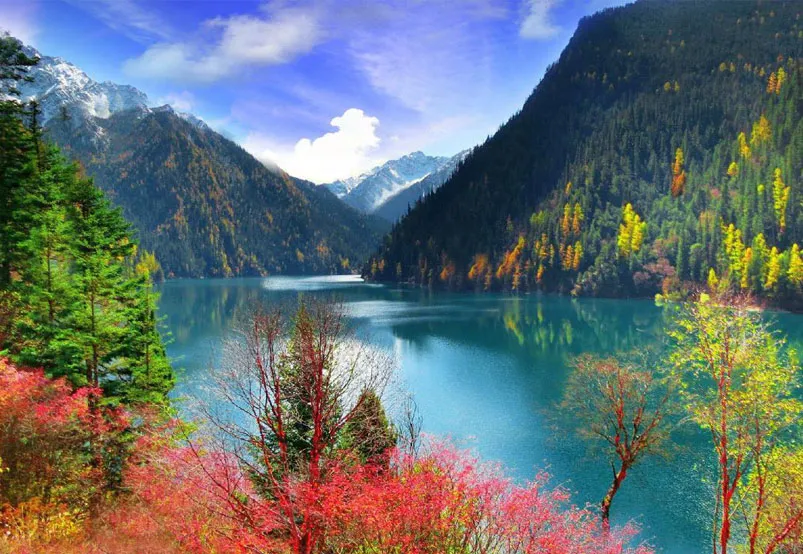 nen-di-cuu-trai-cau-vao-thang-may-1