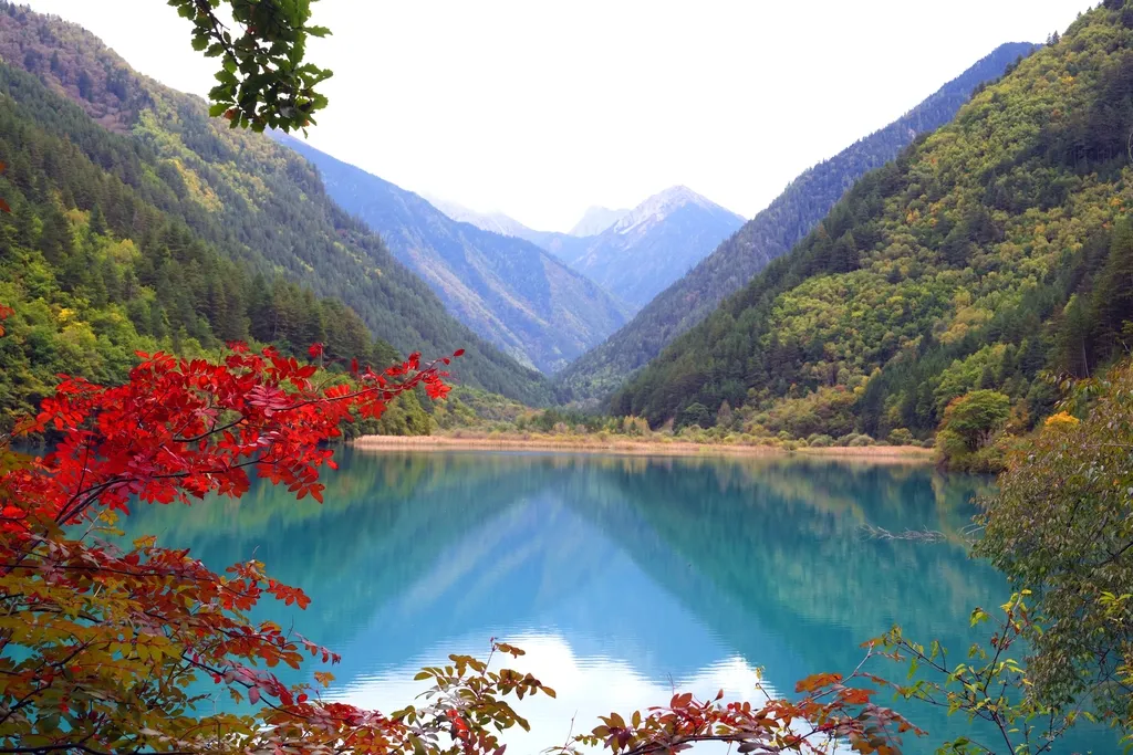 nen-di-tour-cuu-trai-cau-duong-bo-qua-cua-khau-hay-bay-thang-2