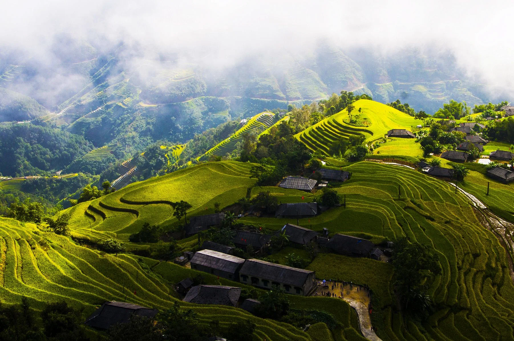 shan-tuyet-ha-giang