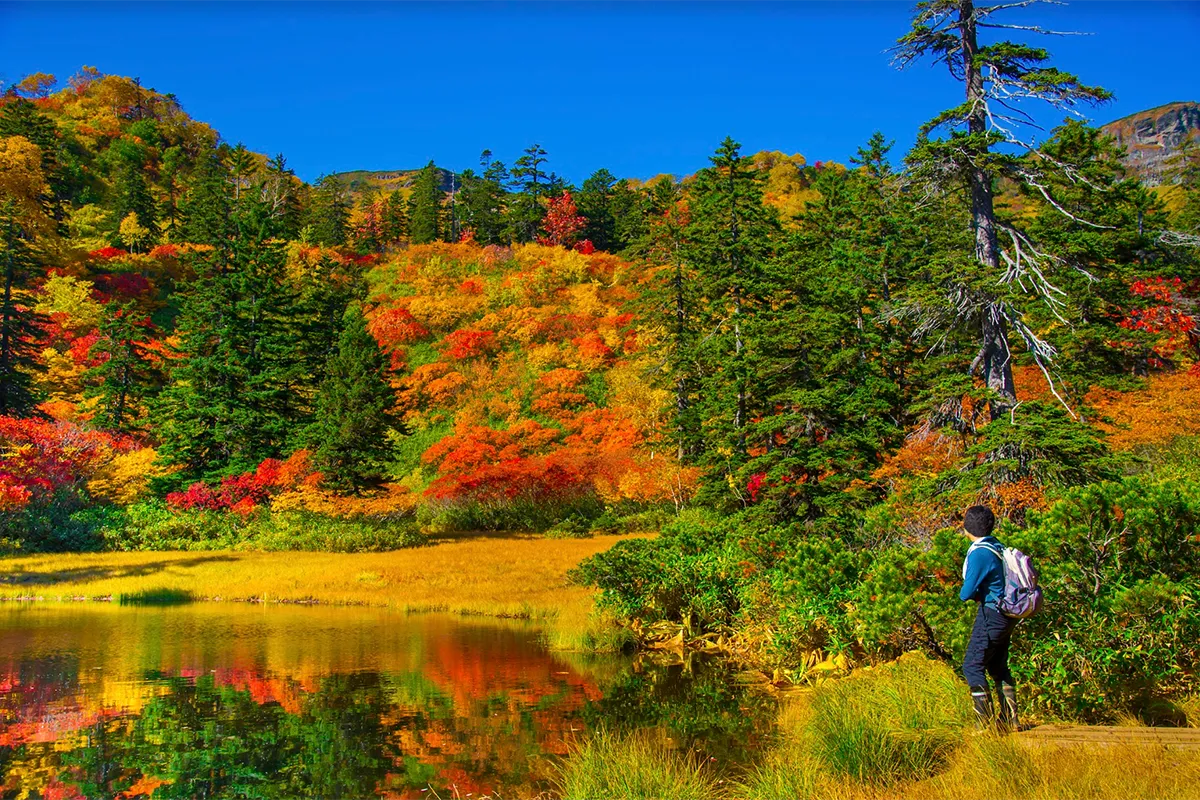 tai-sao-dich-vu-lu-hanh-cua-phe-travel-la-lua-chon-hang-dau-cho-hanh-trinh-hokkaido