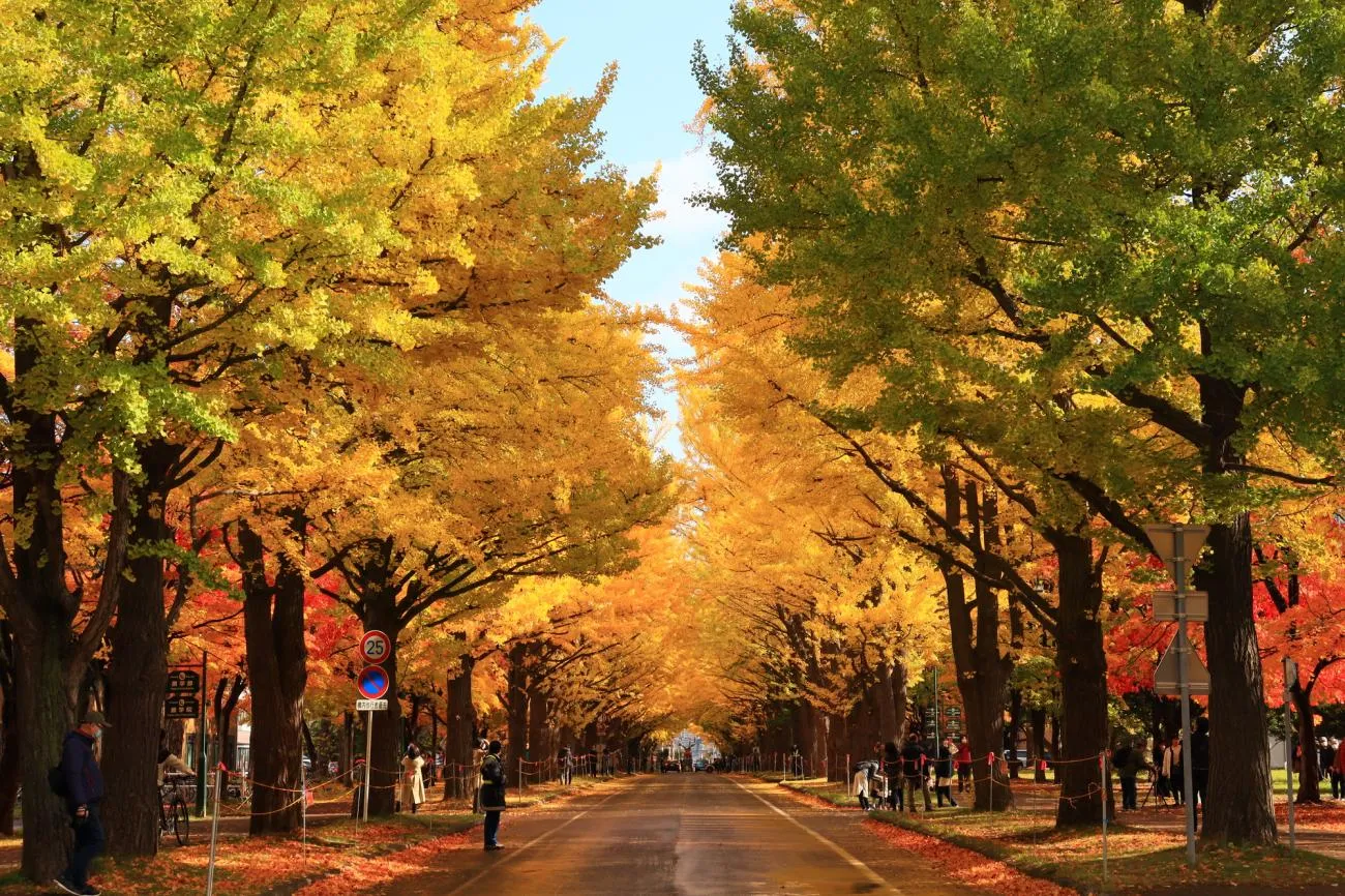 nhung-luu-y-quan-trong-ve-trang-phuc-va-van-hoa-onsen-khi-du-lich-hokkaido-mua-thu-la-gi