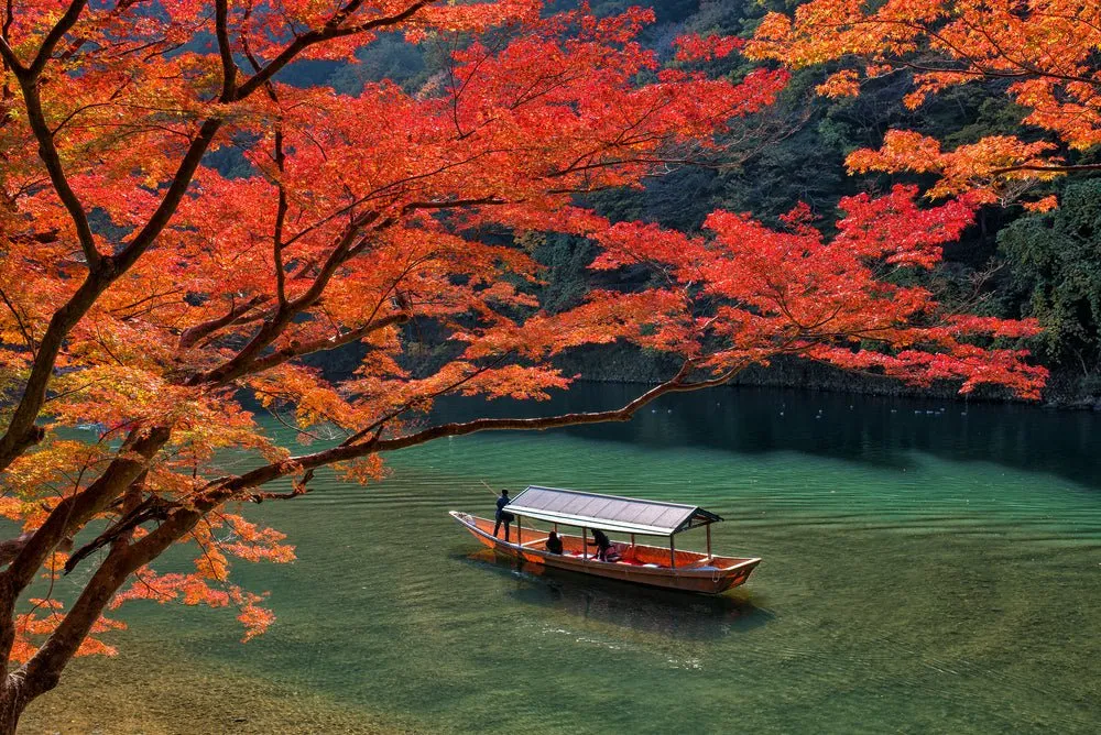 tai-sao-nen-lua-chon-dich-vu-lu-hanh-cua-phe-travel-cho-vien-trinh-du-lich-hokkaido