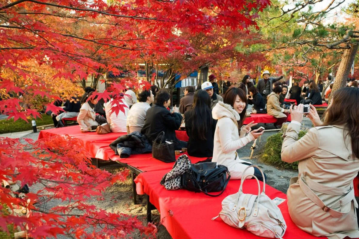 tour-mono-tokyo-tu-ha-noi-2