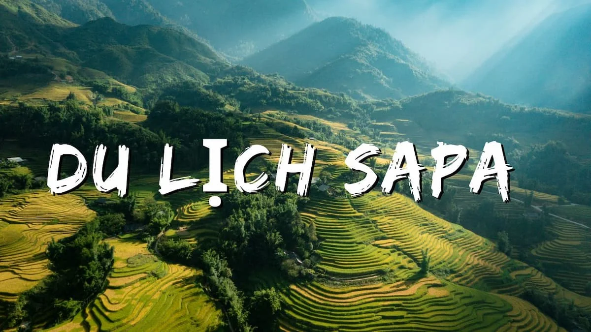 Sapa
