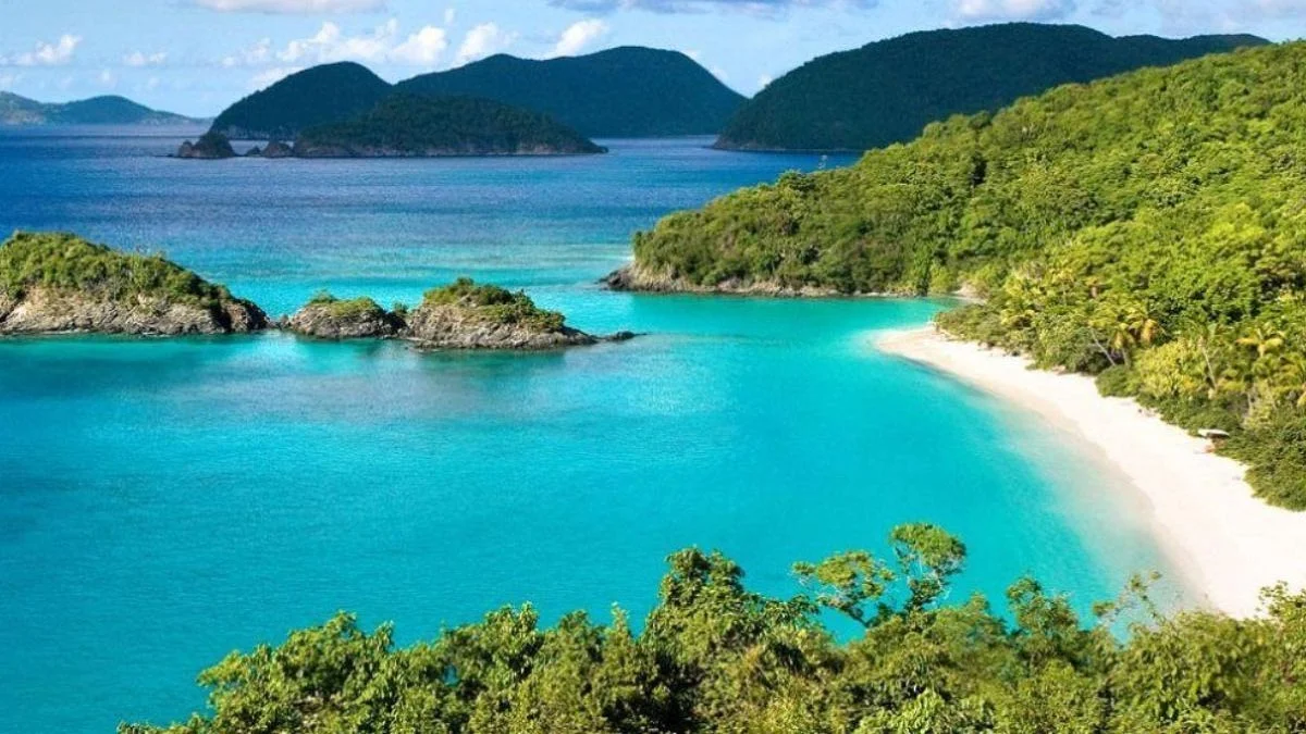 Top các khách sạn 5 sao Đà Nẵng: Vị trí, kiến trúc, giá phòng & kinh nghiệm đặt phòng