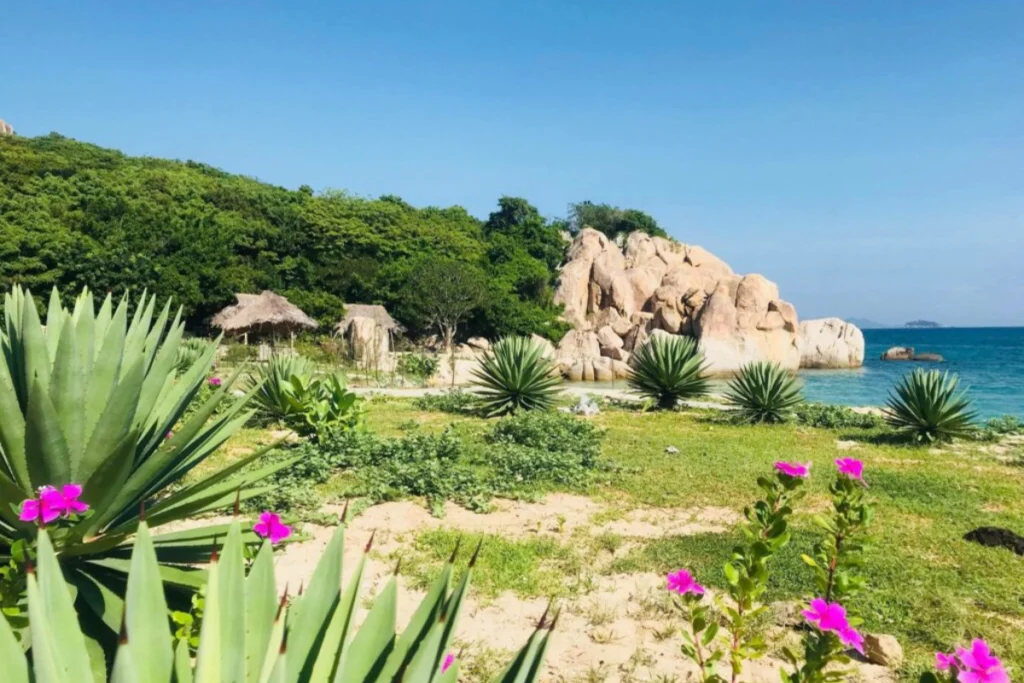 Bình Hưng Nha Trang: Vị trí, điểm nổi bật, kinh nghiệm du lịch & đơn vị uy tín