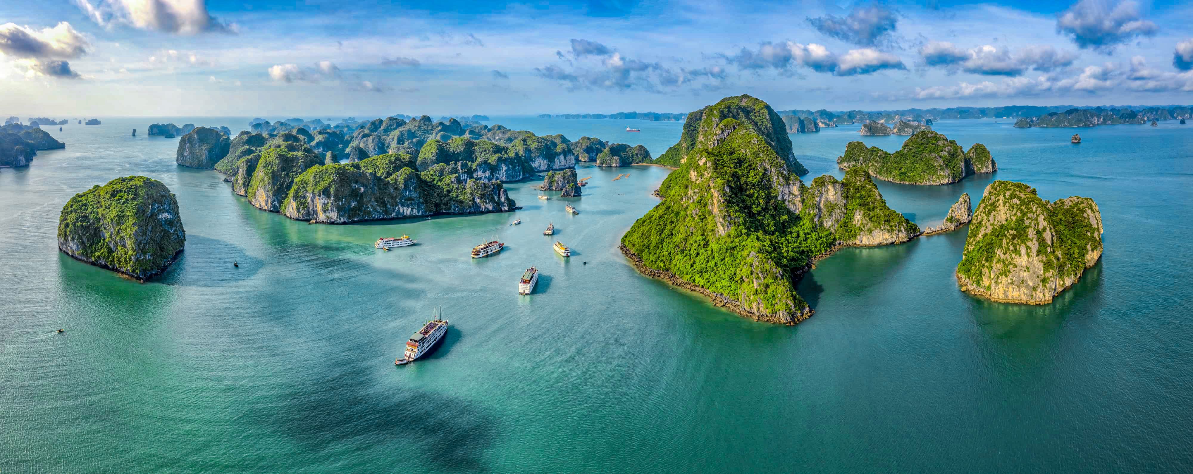 bai tu long 2
