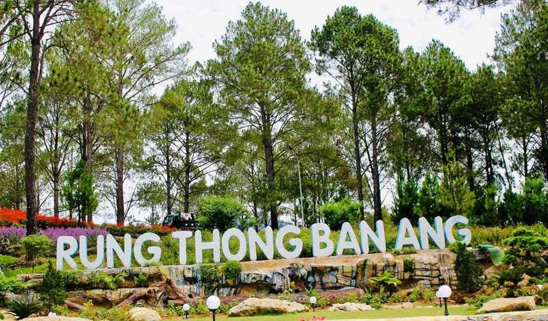 Cầu kính Bạch Long: Vị trí, điểm thu hút, kinh nghiệm du lịch và chọn tour