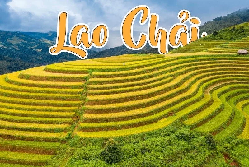 ban-lao-chai-ta-van