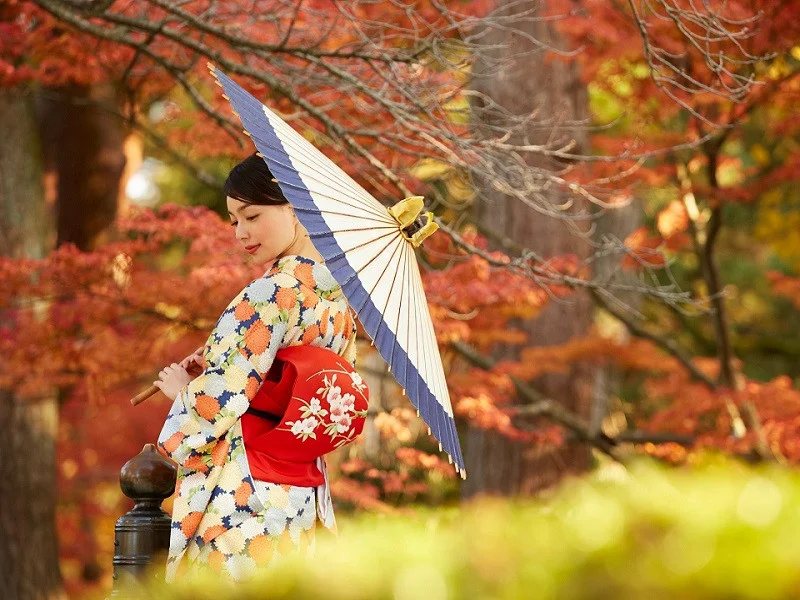 tai-sao-gia-tour-tai-phe-travel-lai-tot-hon-thi-truong